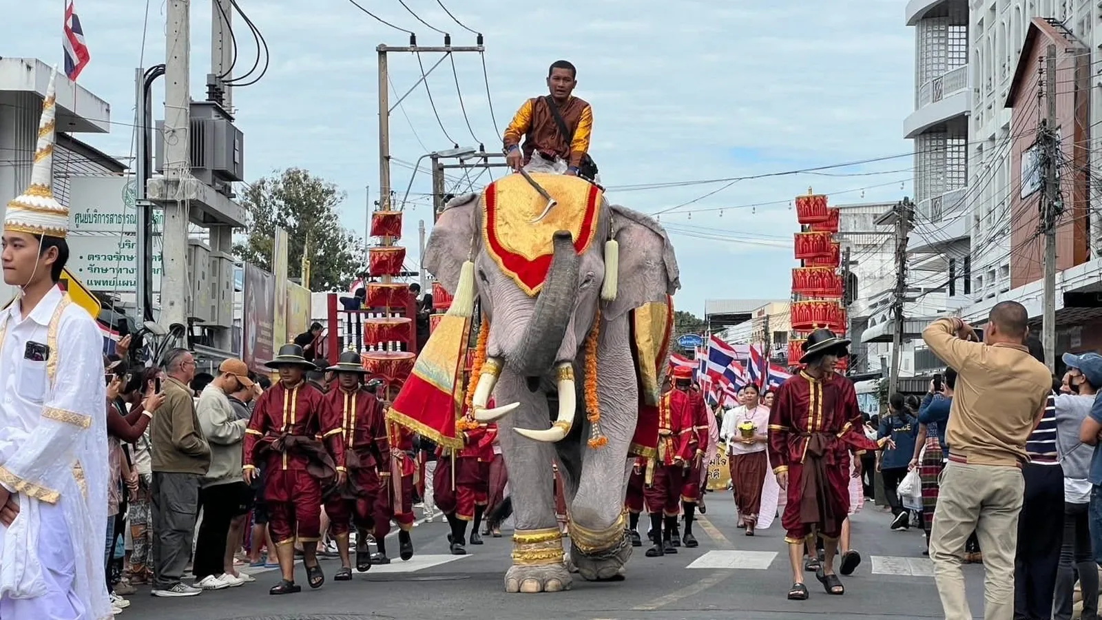ขบวนช้างประดับเครื่องทรงและผู้ร่วมขบวนในงานช้างสุรินทร์
