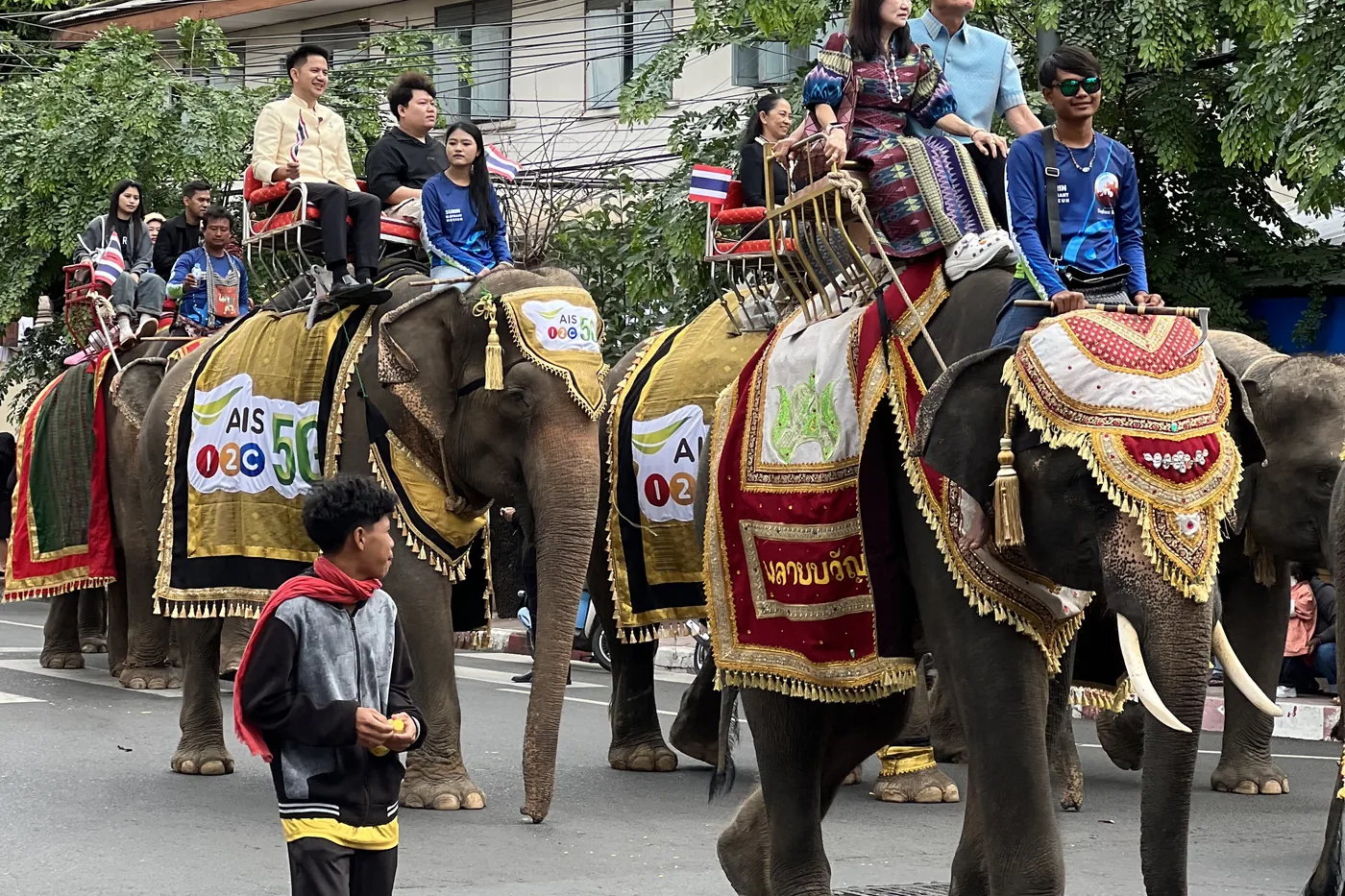 ช้างหลายเชือกและผู้ร่วมขบวนในบรรยากาศงานช้างสุรินทร์
